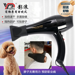 電吹風家用髮廊大功率吹風機理髮店冷熱恆溫負離子護髮吹風筒 歷史價格詳細信息