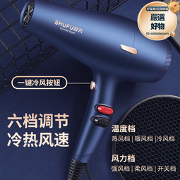 高轉速電吹風大功率家用髮廊吹風機藍光離子護髮吹風筒 歷史價格詳細信息