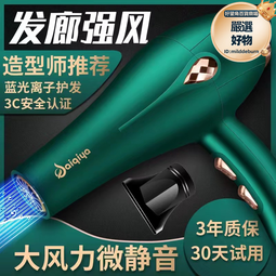 賽琦雅吹風機家用冷熱風藍光離子髮廊酒店大功率電吹風 歷史價格詳細信息