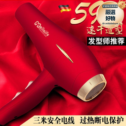 髮廊吹風機大功率電吹風藍光負離子護髮吹風筒 歷史價格詳細信息