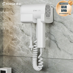 酒店賓館客房家用浴室壁掛式美發專用吹風機電吹風吹風筒 歷史價格詳細信息