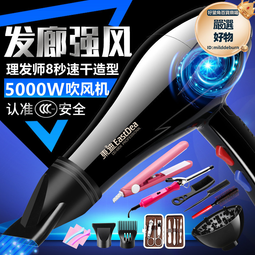電吹風機家用大功率男士專用髮廊大風力護髮速幹吹風筒理髮店 歷史價格詳細信息