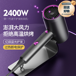 大風力電吹風機髮廊大功率藍光護髮負離子家用速幹理髮店專用高速 歷史價格詳細信息
