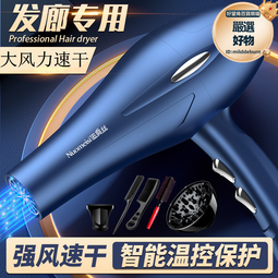 （）電吹風機 家用大功率吹風筒恆溫護髮速幹bhd308 歷史價格詳細信息