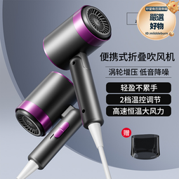 電吹風機家用大風力髮廊大功率男士專用理髮店負離子靜速幹護髮 歷史價格詳細信息