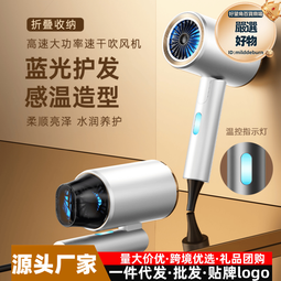 新款高速吹風機髮廊大功率負離子吹風筒冷熱風髮廊電吹風 歷史價格詳細信息