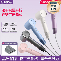 高速吹風機家用宿舍冷熱風負離子大功率髮廊電吹風網 歷史價格詳細信息