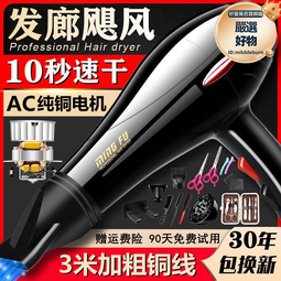 髮廊電吹風機吹頭髮大風力家用理髮店大功率負離子護髮速幹飛 歷史價格詳細信息