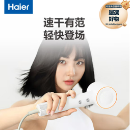 高速電吹風機負離子風筒髮廊家用大功率大風力hair dryer 歷史價格詳細信息