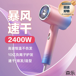 家用髮廊大功率速幹護髮吹風機負離子電吹風直發 歷史價格詳細信息