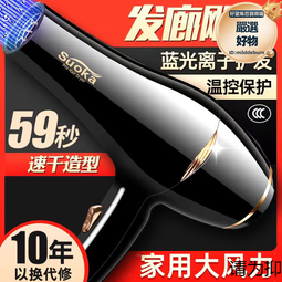 髮廊大風吹風機家用大功率理髮店負離子電吹風筒恆溫冷熱風不傷發 歷史價格詳細信息