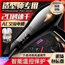 家用冷熱恆溫藍光吹風機 可攜式電吹風髮廊大功率吹風筒 歷史價格詳細信息