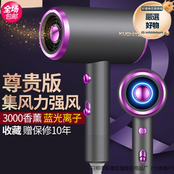 吹風機家用負離子護髮大風力理髲店專用小靜音速乾米高速吹風機 歷史價格詳細信息