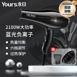 永日電吹風大功率髮廊理髮店大風力吹風機家用吹風筒髮型師專用 歷史價格詳細信息