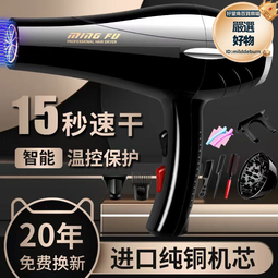 髮廊大風吹風機家用理髮店大功率負離子電吹風筒冷熱風不傷發宿舍 歷史價格詳細信息