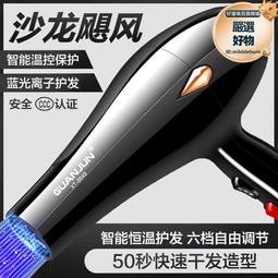 美髮店風筒正靜音定型吹塑無聲髮廊理髮店膜老式電吹風機 歷史價格詳細信息