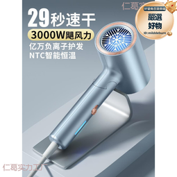 德國髮廊電吹風機家用負離子護髮大風力髮型師大功率速乾冷熱風筒 歷史價格詳細信息