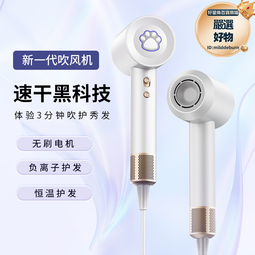 高速電吹風機恆溫大功率冷熱風負離子髮廊家用dh樂金家電kc3cce 歷史價格詳細信息