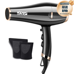 DSP/丹松 電吹風機家用髮廊理髮店專用大功率速幹護髮風筒靜音 歷史價格詳細信息
