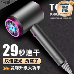 吹風機強力大功率家用吹頭髮理髮店大風力超強髮廊專用速乾電吹風 歷史價格詳細信息