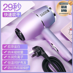 吹風機吹頭髮家用速幹髮型師推薦靜音大功率冷熱風電吹風筒 歷史價格詳細信息
