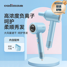 電吹風家用低噪音大風力速幹吹風筒藍光學生宿舍冷熱風護髮吹風機 歷史價格詳細信息