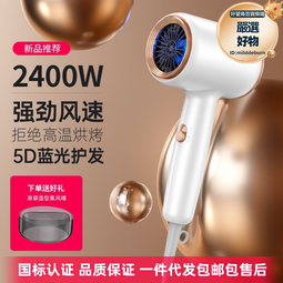 電吹風家用大功率速幹吹風筒髮廊藍光負離子大風力學生宿舍 歷史價格詳細信息