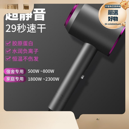 大學宿舍小功率吹風機實用電吹風機低多我要買家用髮廊款 歷史價格詳細信息