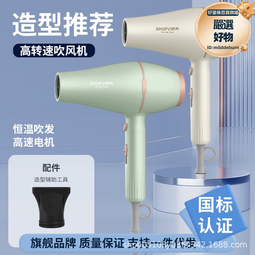 電吹風機 家用吹風機 恆溫吹風機 負離子吹風機 便攜吹風筒 小巧吹風機 智能吹風機 過熱保護吹風機 110V吹風機 歷史價格詳細信息