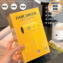 小黃鴨吹風機大功率家用冷熱風恆溫電吹風筒 歷史價格詳細信息