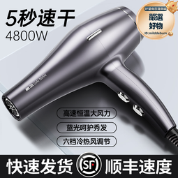 電吹風機髮廊家用大風力理髮店大功率負離子護髮靜音速乾冷熱風筒 歷史價格詳細信息