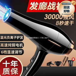 理髮店推薦大功率冷熱風速幹吹風筒恆溫不傷發髮廊專用新款電吹風 歷史價格詳細信息