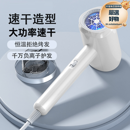 電吹風機家用理髮店髮廊吹風機大功率2400w負離子風筒 歷史價格詳細信息