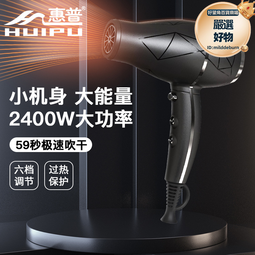 電吹風機家用理髮店髮廊吹風機大功率2400w負離子風筒 歷史價格詳細信息