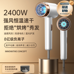 電吹風機家用大功率髮廊酒店大風力藍光護髮冷熱風吹風筒 歷史價格詳細信息