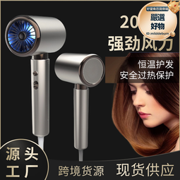 電吹風機家用理髮店髮廊吹風機大功率2400w負離子風筒 歷史價格詳細信息