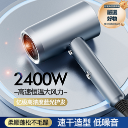 家用吹風機大功率酒店宿舍吹風筒髮廊專用藍光護髮高速電吹風 歷史價格詳細信息