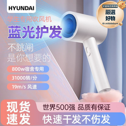 電吹風機吹頭髮家用大功率不傷發藍光速乾冷熱風髮廊吹風筒大風力 歷史價格詳細信息
