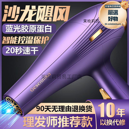 電吹風機家用大風力髮廊大功率男士專用理髮店負離子靜速幹護髮 歷史價格詳細信息