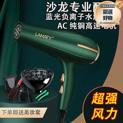 電吹風機髮廊專用大功率理髮店大風力家用負離子護髮速幹靜音風筒 歷史價格詳細信息