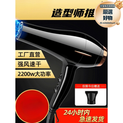 【推薦】髮廊電吹風機家用理髮店大功率負離子護髮靜音風筒 歷史價格詳細信息