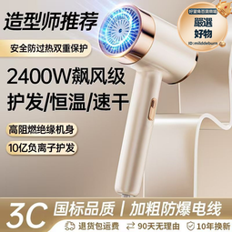 吹頭髮電吹風機家用風筒大功率負離子冷熱理髮店速幹髮廊 歷史價格詳細信息