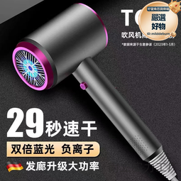吹風機強力大功率家用吹頭髮理髮店大風力超強髮廊專用速乾電吹風 歷史價格詳細信息