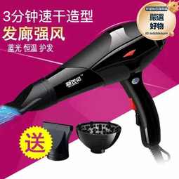髮廊電吹風大功率理髮店冷熱負離子吹風機速幹風筒大風力強風 歷史價格詳細信息