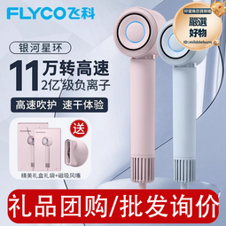 飛科吹風機FH6257家用摺疊學生宿舍小功率冷熱風護髮吹風機 歷史價格詳細信息