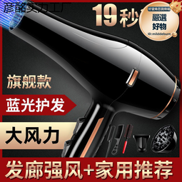 電吹風機家用吹頭髮強力大功率理髮店風力髮廊專用負離子吹 歷史價格詳細信息