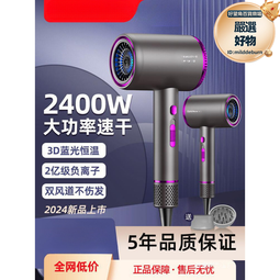 德系吹風機家用負離子護髮宿舍學生理髮店專用電吹風大風速幹風筒 歷史價格詳細信息