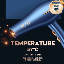 德國電吹風機家用大功率髮廊專用理髮店3800w負離子護髮速幹風筒 歷史價格詳細信息