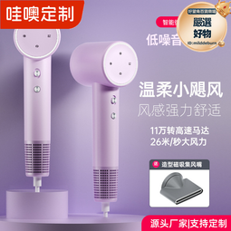 高速吹風機家用宿舍冷熱風負離子大功率髮廊電吹風網 歷史價格詳細信息