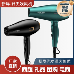 高轉速電吹風大功率家用髮廊吹風機藍光離子護髮吹風筒 歷史價格詳細信息